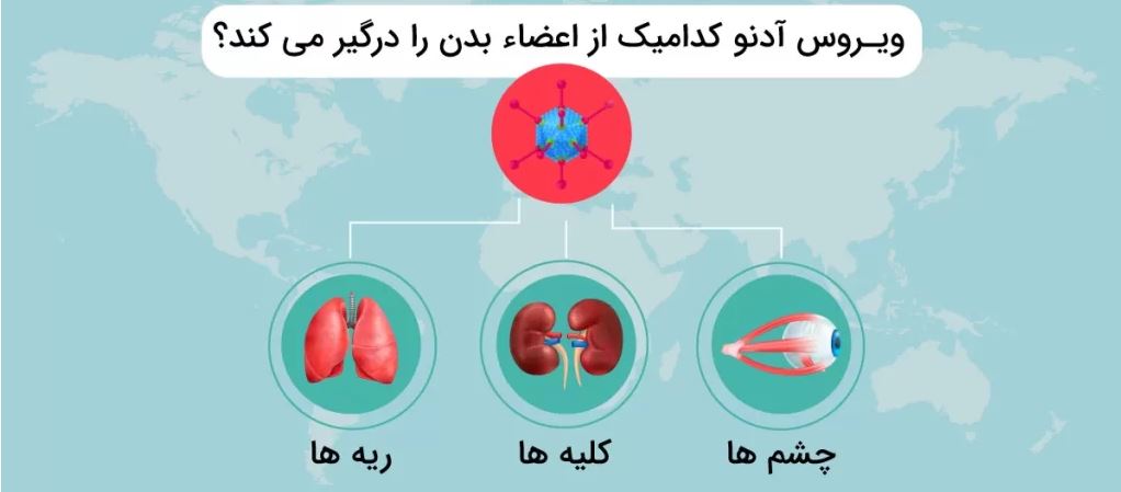 آدنوویریده